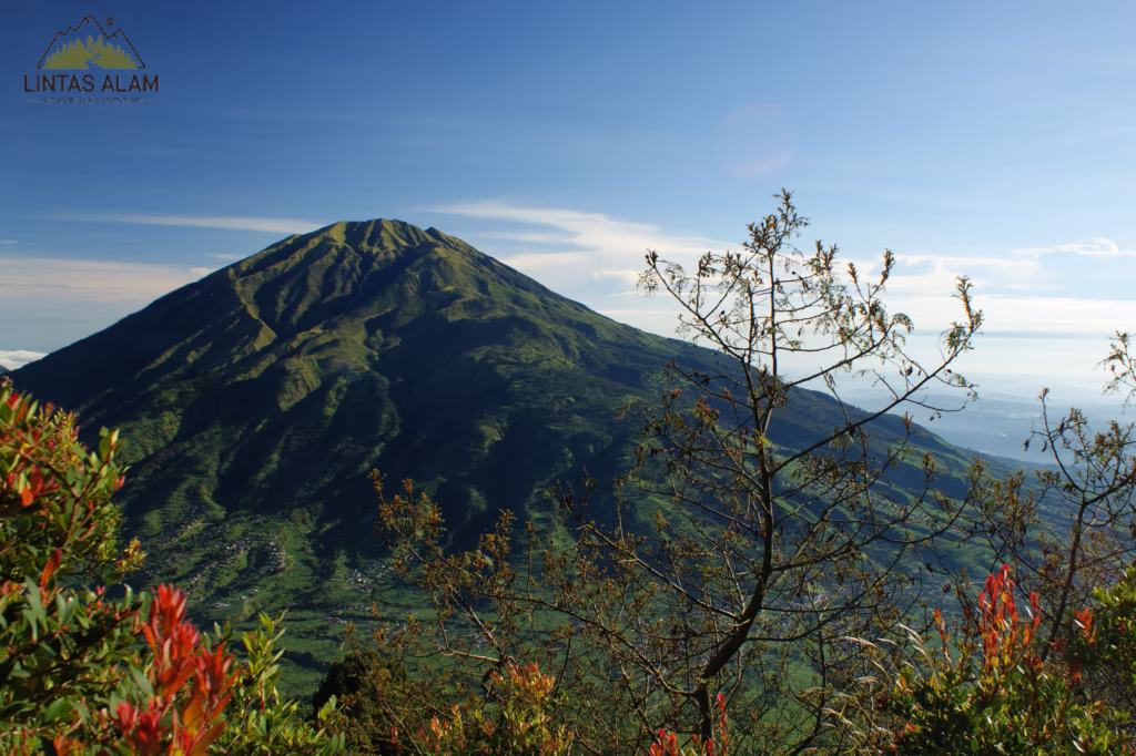 Panduan Lengkap Mendaki Gunung Merbabu untuk Pendaki Pemula
