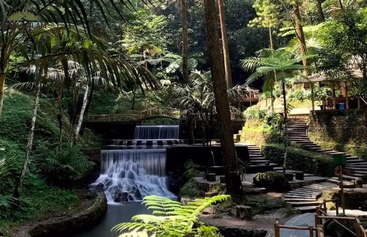Curug Cipeuteuy Majalengka: Surga Tersembunyi untuk Healing di Jawa Barat