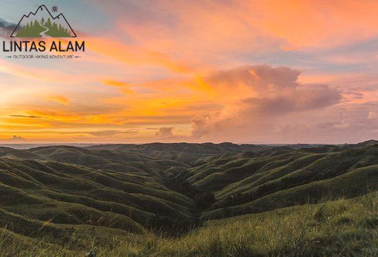 Bukit Wairinding: Permata Alam Fotogenik dari Sumba Timur