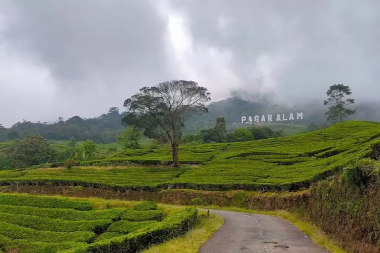 Gunung Dempo, Permata Alam di Pagar Alam