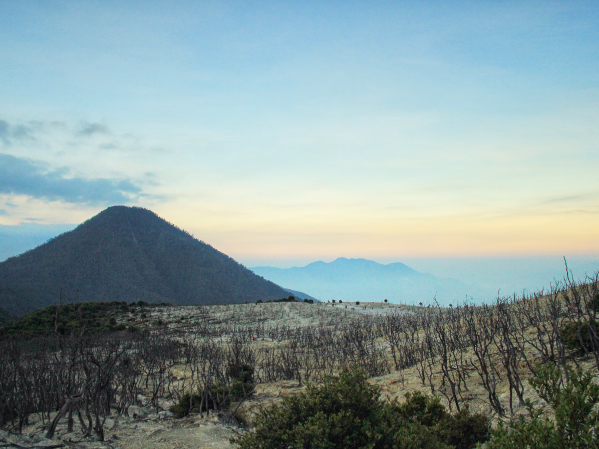 Hutan Mati Gunung Papandayan: Keindahan yang Lahir dari Bencana