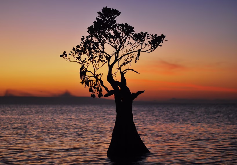Keindahan Sunset Pantai Walakiri yang Artistik dan Unik